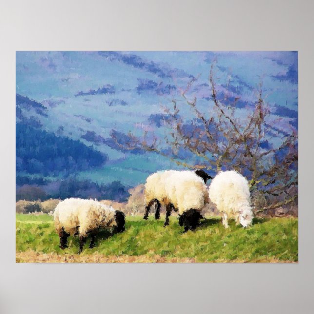 SHEEP POSTER (Vorne)