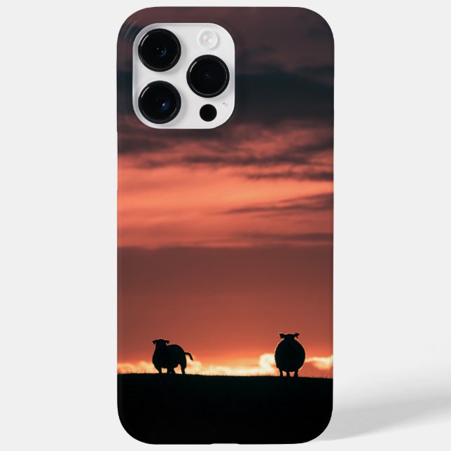 Sheep Sunset Nature Foto Case-Mate iPhone 14 Pro Max Hülle (Rückseite)
