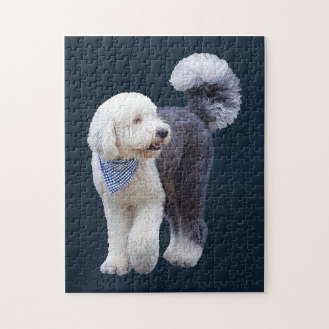 Sheepadoodle mit blauem karierten Schal (Vertikal)