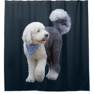 Sheepadoodle mit blauem karierten Schal Duschvorhang