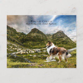 Sheepherding Sable Rough Collie - Collectibel Postkarte