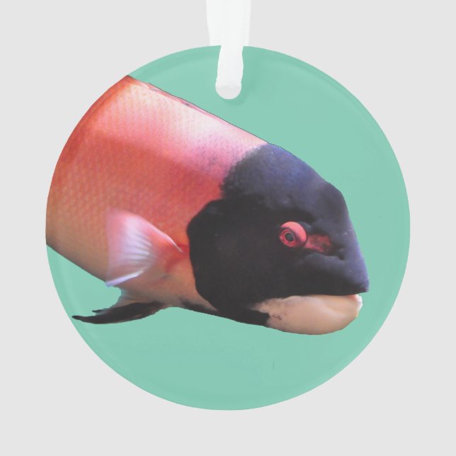 Sheepshead-Weihnachtsverzierung Ornament (Rückseite)
