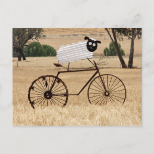 SheepThrills Postkarte