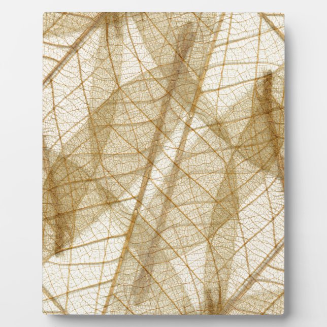 Sheer Cream Beige Lace Blätter Fotoplatte (Vorderseite)
