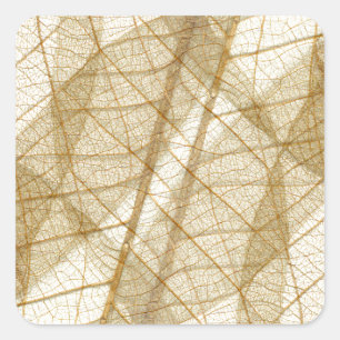 Sheer Cream Beige Lace Blätter Quadratischer Aufkleber