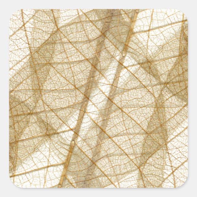 Sheer Cream Beige Lace Blätter Quadratischer Aufkleber (Vorderseite)