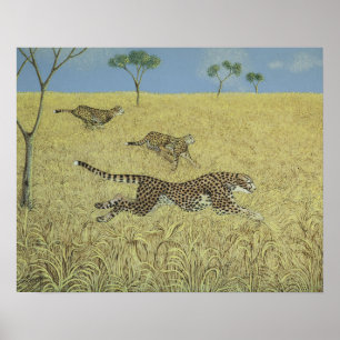 Sheer Speed Poster