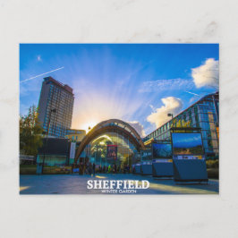 Sheffield Winter Garden Postkarte