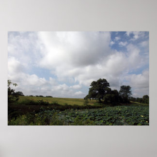 Shelby-Betriebe Poster