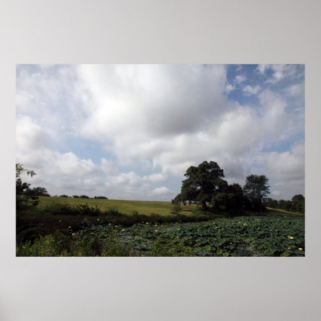 Shelby-Betriebe Poster (Vorne)