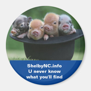 Shelby NC-Magnet Magnet