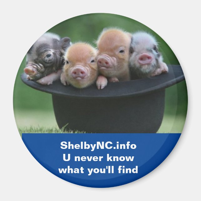 Shelby NC-Magnet Magnet (Vorne)