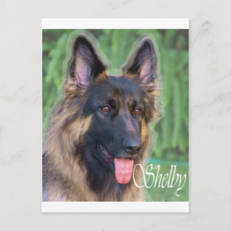 Shelby Postkarte