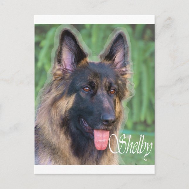 Shelby Postkarte (Vorderseite)