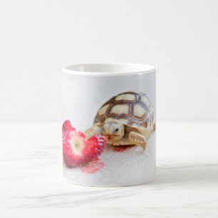 Sheldon die Schildkröte Kaffeetasse