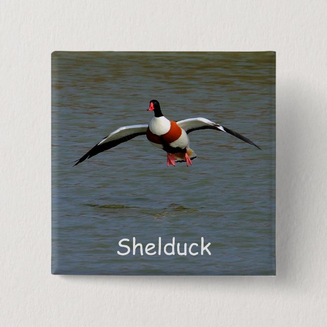 Shelduck Button (Vorderseite)
