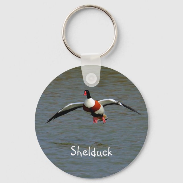 Shelduck Schlüsselanhänger (Vorderseite)