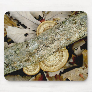 Shelf Fungus im November Mousepad