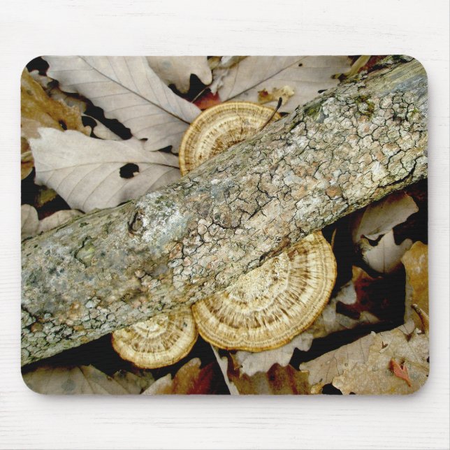Shelf Fungus im November Mousepad (Vorne)