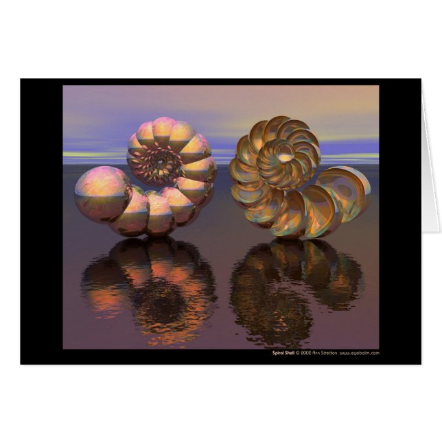 Shell en spirale (Devant horizontal)