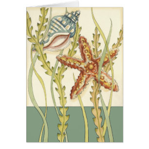 Shell multicolore Party