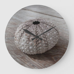 Shell On Top Of A Wooden Table Große Wanduhr