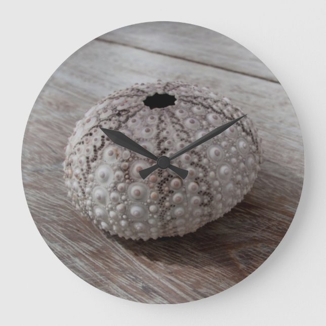Shell On Top Of A Wooden Table Große Wanduhr (Vorderseite)