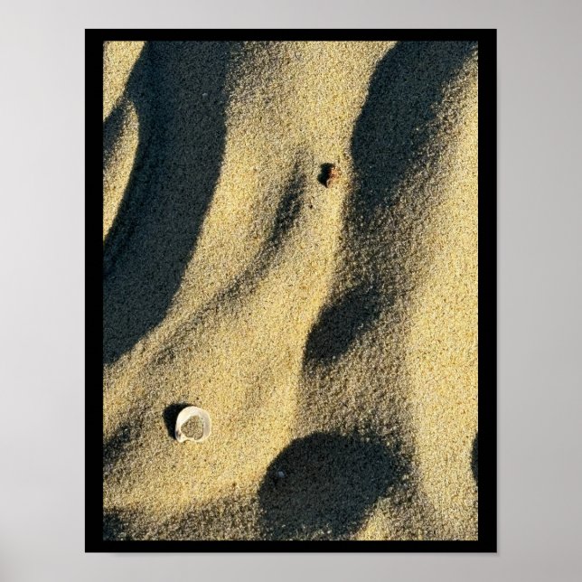 Shell Sand and Shadows Poster (Vorne)