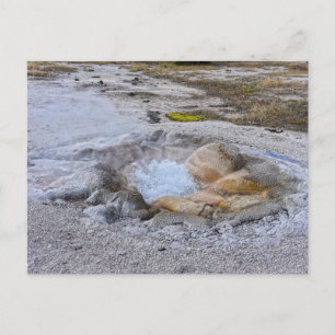 Shell Spring im Yellowstone-Nationalpark, Wyoming Postkarte