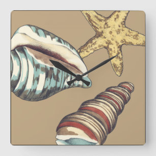 Shell Trio on Khaki Quadratische Wanduhr