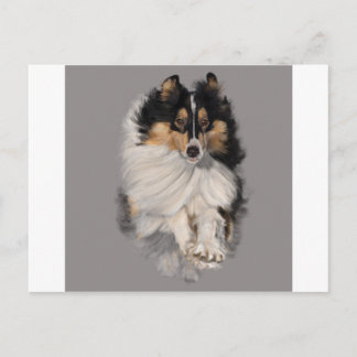 Shellie unterwegs postkarte