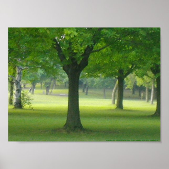 Shellis Canvas Print, uneingerahmt "Der Zauberwald Poster (Vorne)