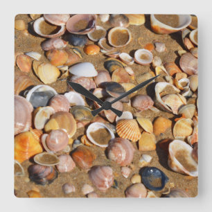 Shells On A Sandy Beach Andalusia, Spain Quadratische Wanduhr