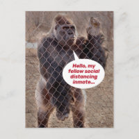 Shelter am Platz Gorilla Gefängnisinsasse