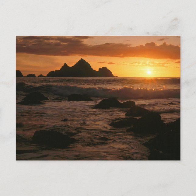 Shelter Cove Postkarte (Vorderseite)