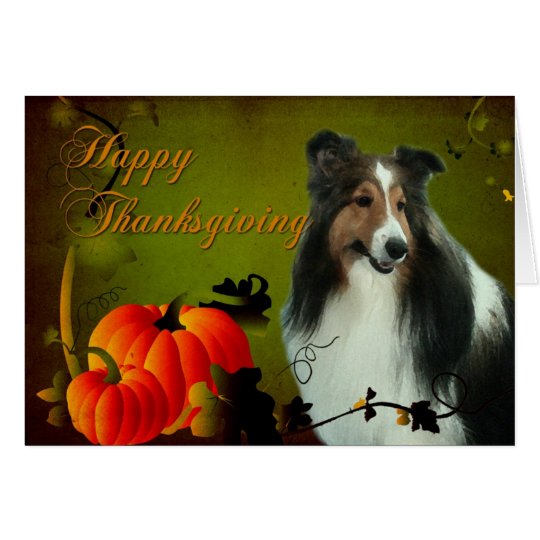 Sheltie #3 Erntedank-Karte Karte