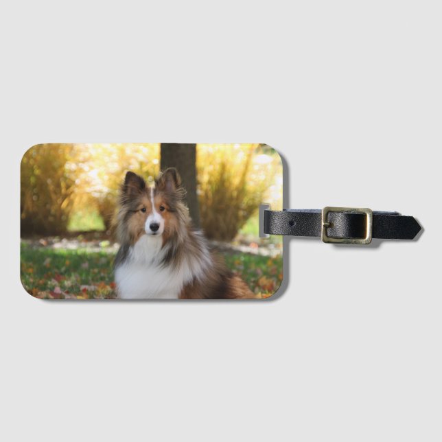 Sheltie Akylic Luggage Tag Gepäckanhänger (Vorderseite (Horizontal))