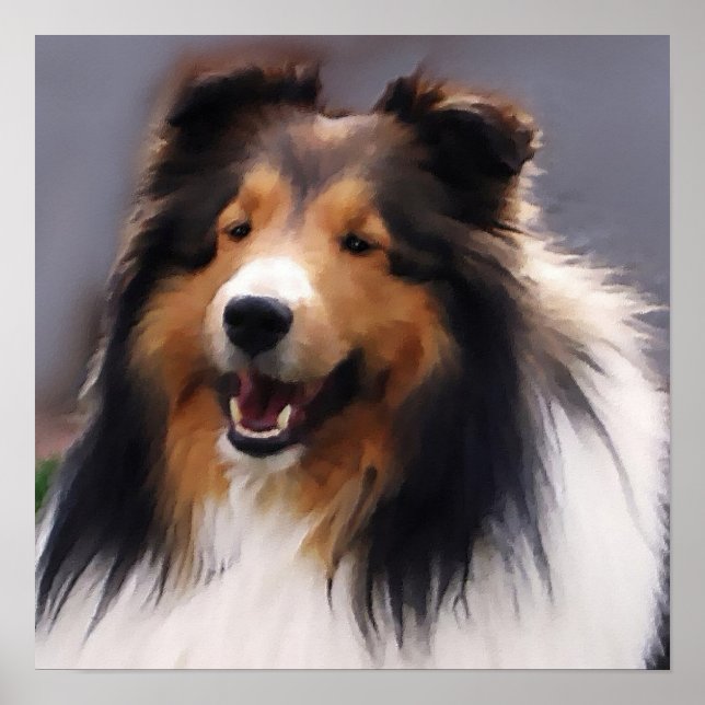 Sheltie Art Print Poster (Vorne)