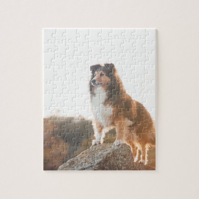 Sheltie auf dem Klippenschützen gehört während des (Vertikal)