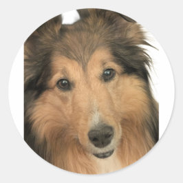 Sheltie-Aufkleber Runder Aufkleber