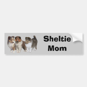 Sheltie Autoaufkleber