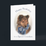 Sheltie Birthday Card für Grandson Karte<br><div class="desc">Diese bezaubernde Shetland Sheepdog Welpen-Geburtstagskarte ist fast so niedlich wie Ihr Enkel!</div>