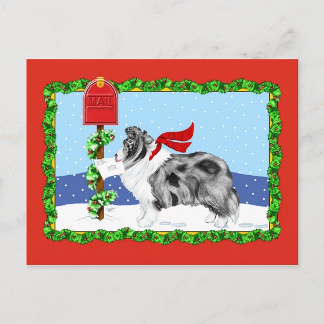Sheltie Christmas Mail Bi Blue Feiertagspostkarte (Vorderseite)