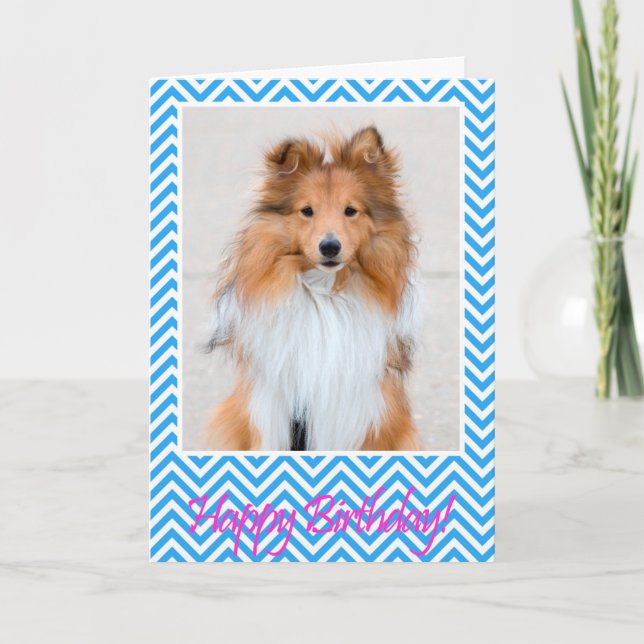 Sheltie die Shetlandinseln Schäferhund-alles- Gute Karte (Vorderseite)