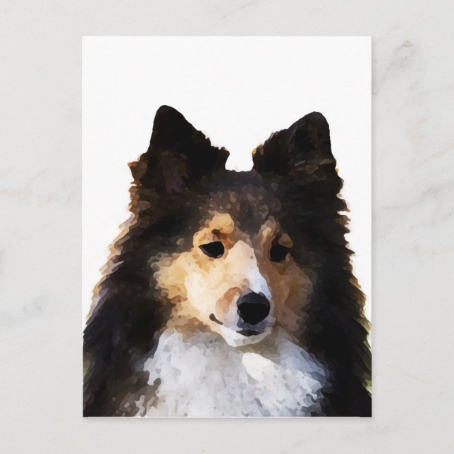 Sheltie Dog Malerkizze Postkarte (Vorderseite)