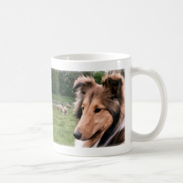 Sheltie et tasse de moutons (Droite)
