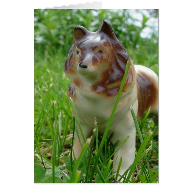 Sheltie Figurine (Devant)