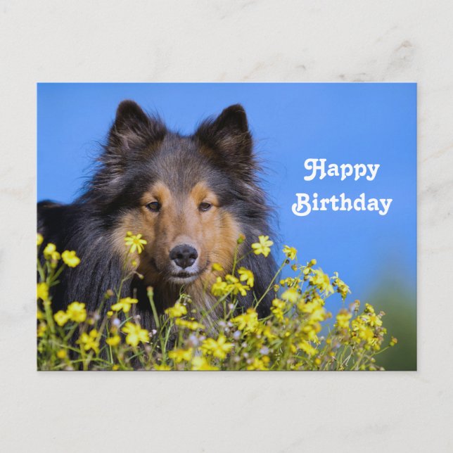 Sheltie Floral Foto Geburtstag Postkarte (Vorderseite)