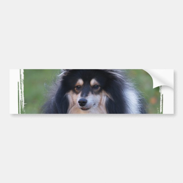 Sheltie Foto-Autoaufkleber Autoaufkleber (Vorne)