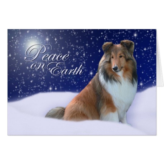Sheltie Friedensweihnachtskarte Karte